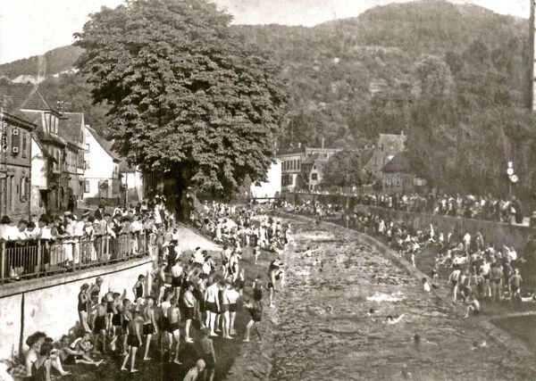 Schwimmen in der vor der Petersbrücke Schwimmen in der vor der Petersbrücke