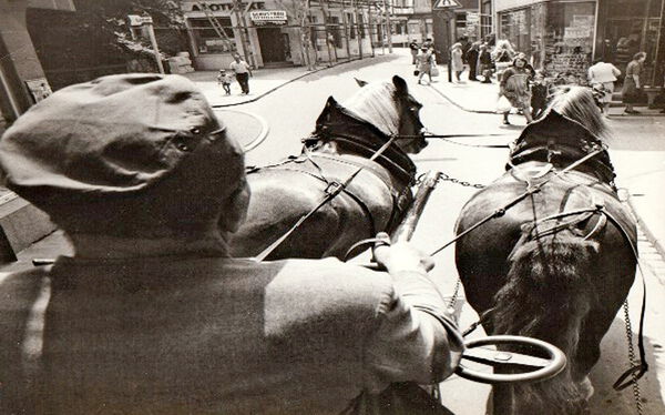 Kutscher, Kutsche mit zwei Pferden