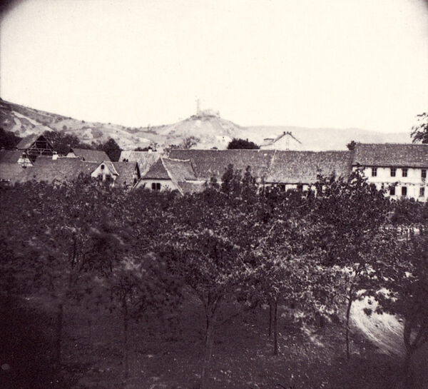 Knudsen_05 Obstbäumen vor Weinheim (historische Fotografie).