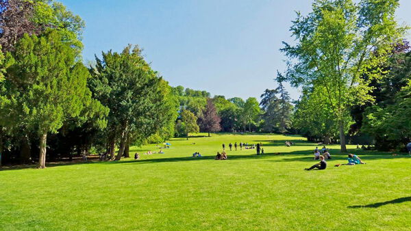 Schlosspark-Buergergarten_01 Blick auf die Wies des Parks.