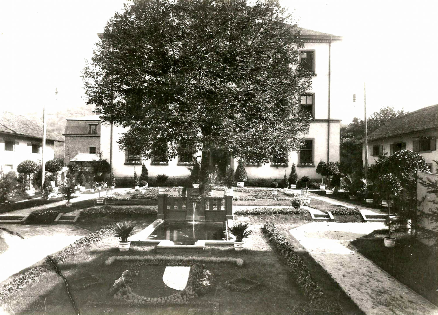 Ziersträucher bei der Gartenbauausstellung 1897.