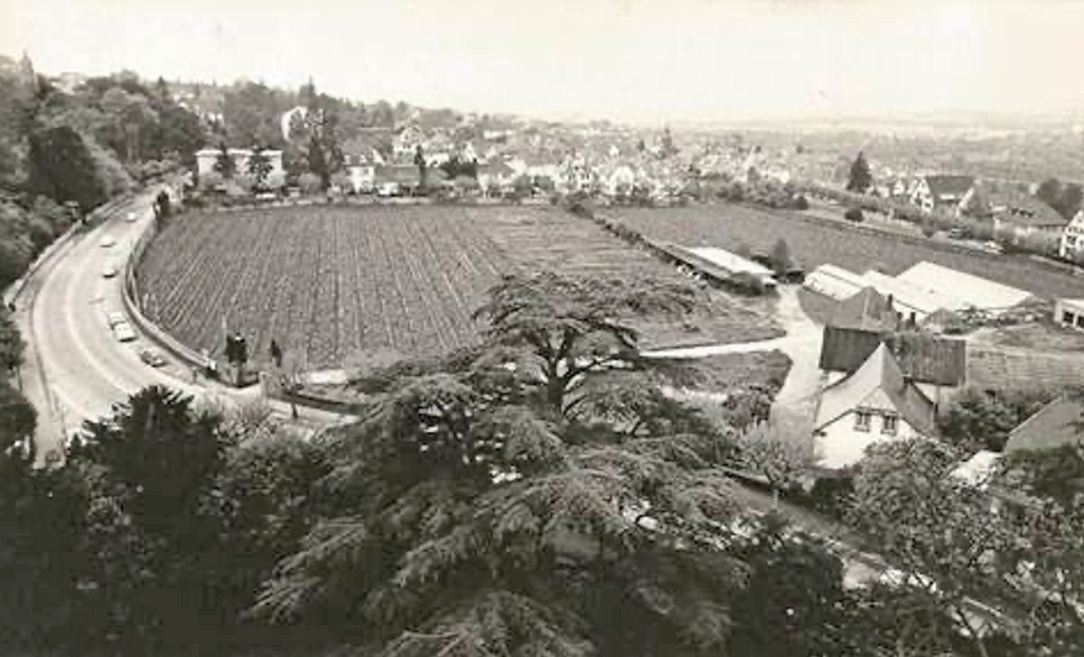 Die Terrassen der „Luppert-Bauten“.